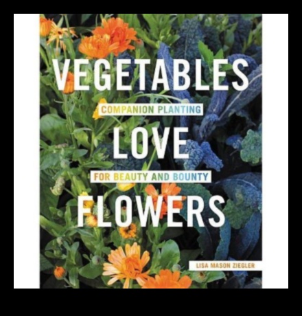 Blossom Bounty: שליטה באמנות הטיפול הוליסטי בגינה