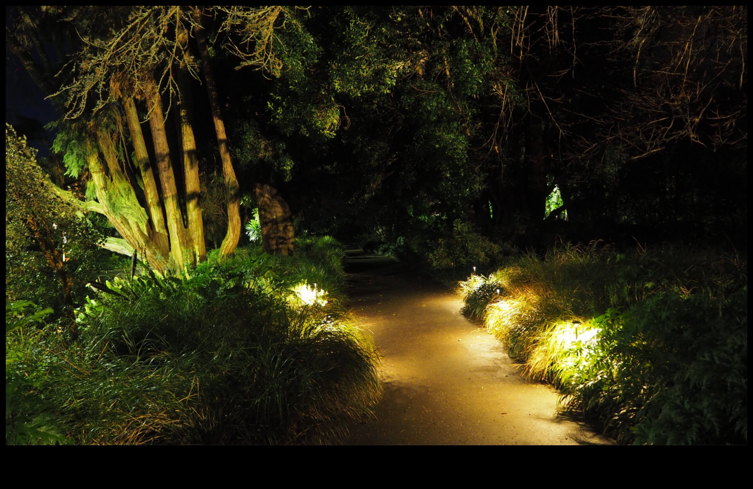 בחוץ קסום: צלול לתוך הפיתוי של עיצוב הגן