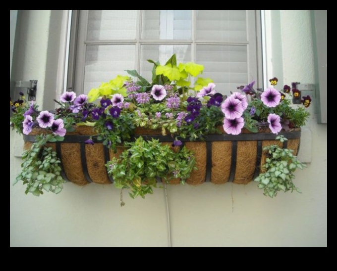 קופסאות פורחות: גינון מיכל לכל עונה