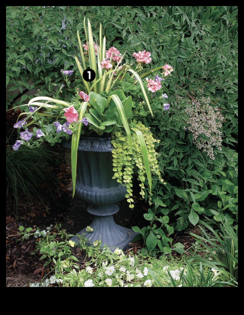 קופסאות פורחות: גינון מיכל לכל עונה