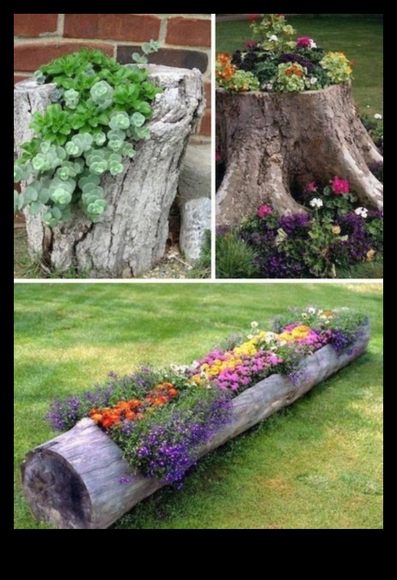 פריחה בתקציב: פרויקטי גן עשה זאת בעצמך שמסנוורים