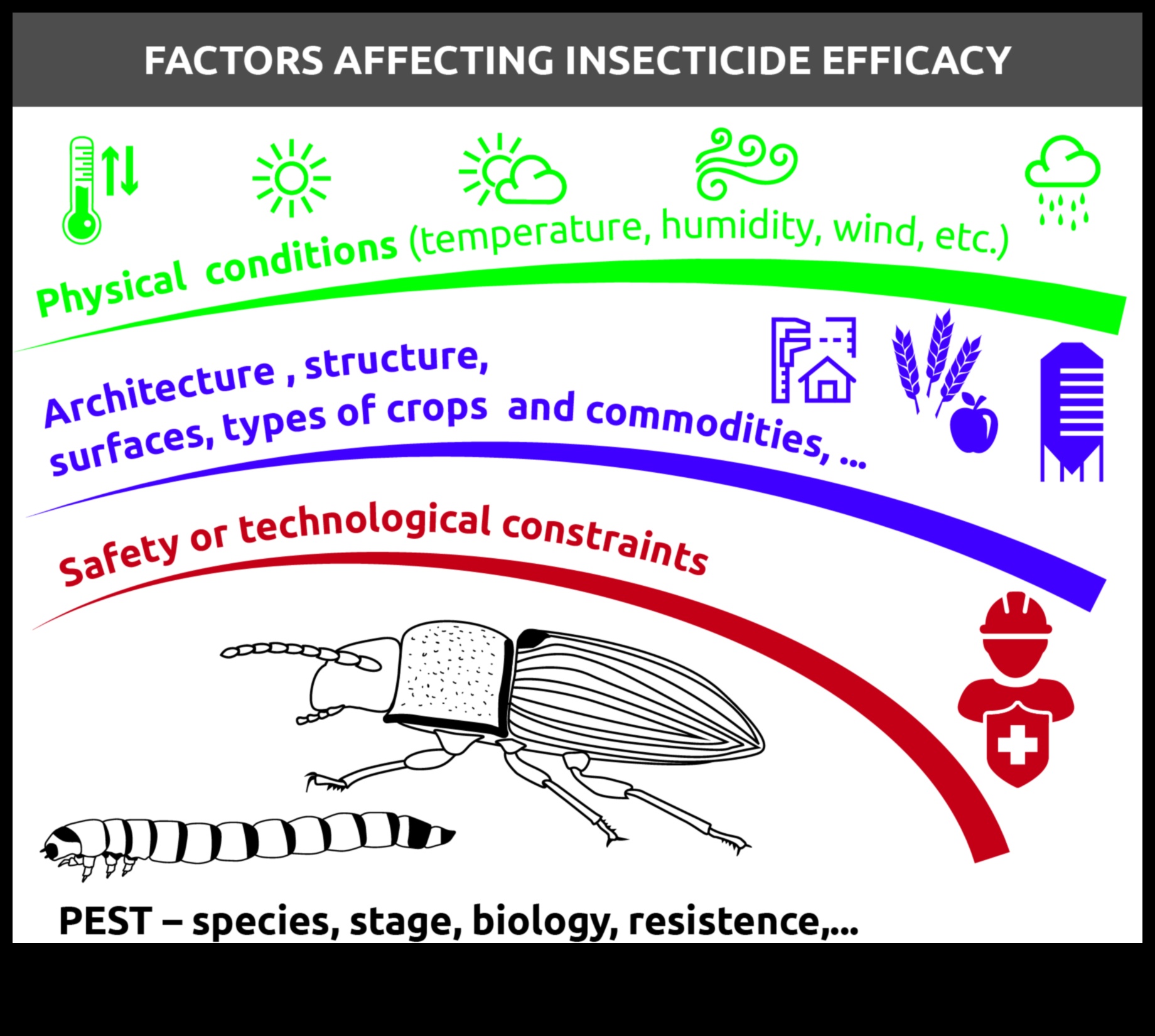 באגים, נעלם! שליטה באמנות הדברת מזיקים בגינה