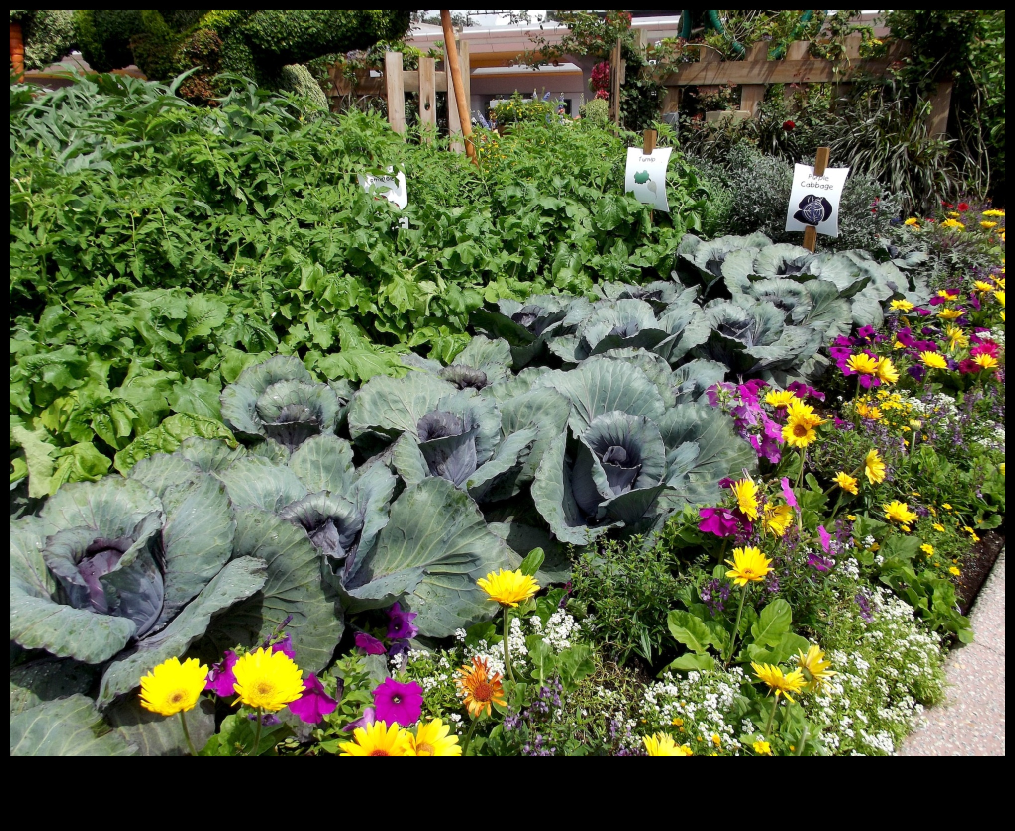 לזרוע ולקצור: מדריך לגנים נלווים פורחים