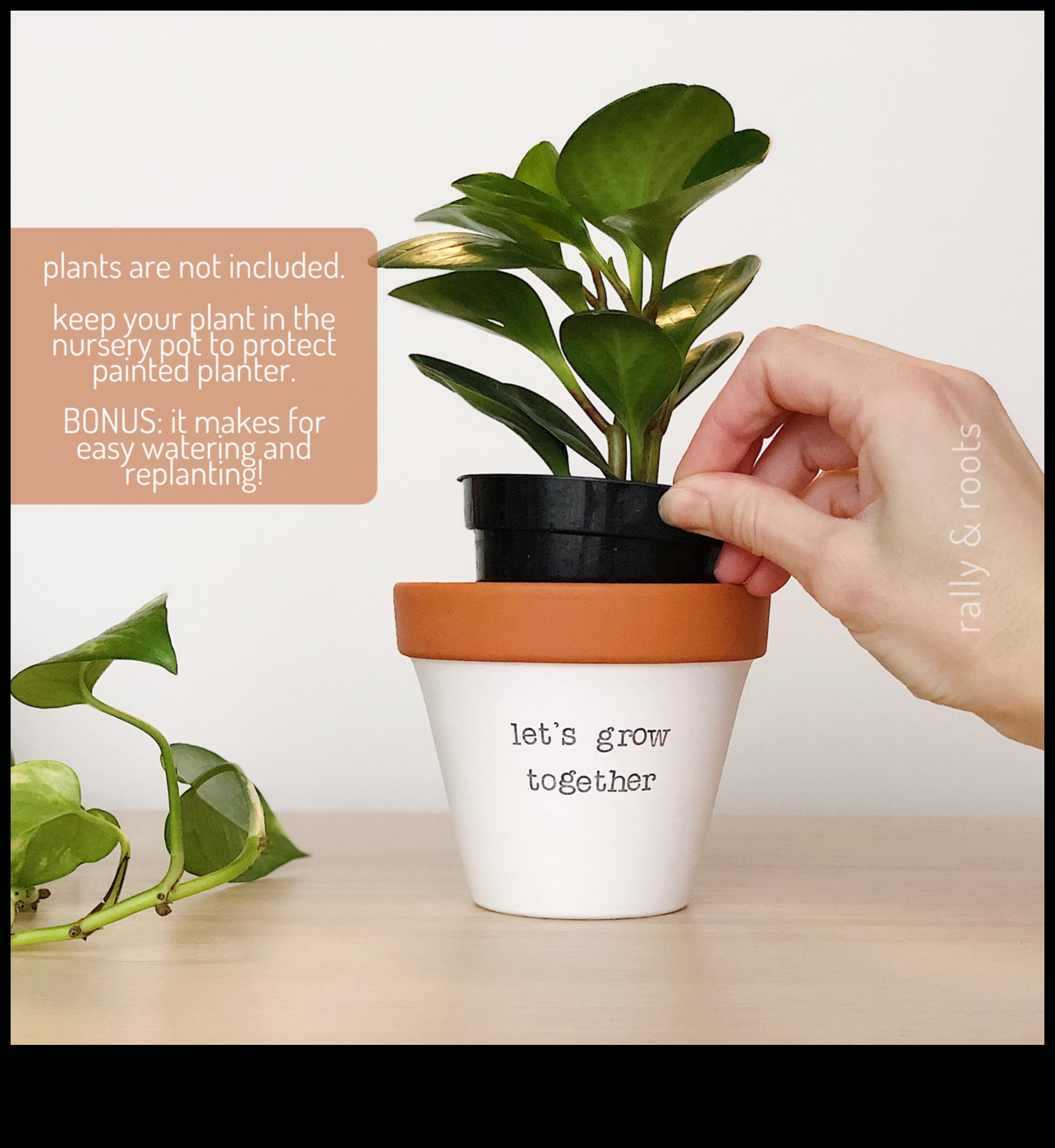 פריחה במקום שתול: חכמת גינון מיכל