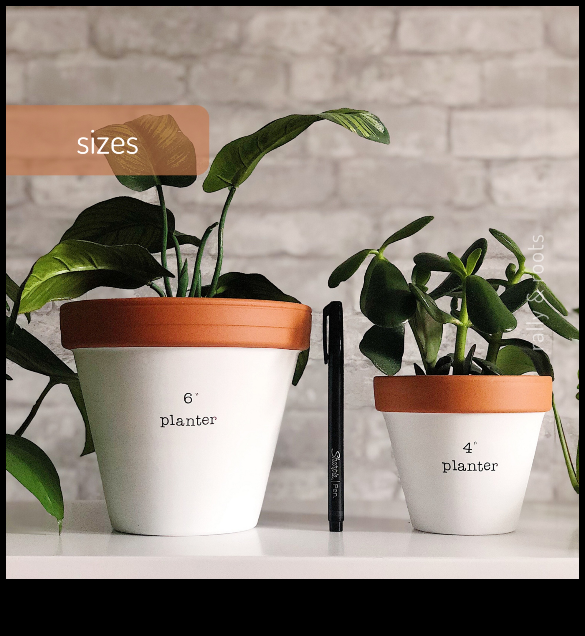 פריחה במקום שתול: חכמת גינון מיכל