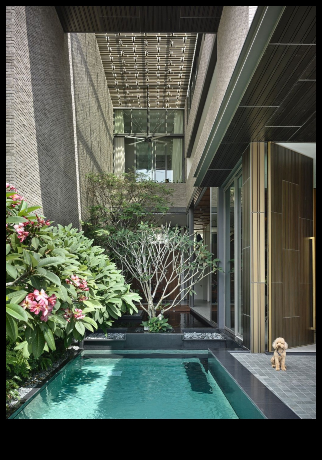 נווה מדבר מוגבה: שלווה בגינון אנכי