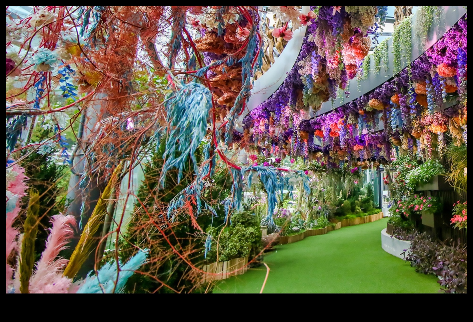 פנטזיה פרחונית: טיפים לגן מפוצץ מיופי