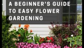 Blossom Bounty: שליטה באמנות הטיפול הוליסטי בגינה