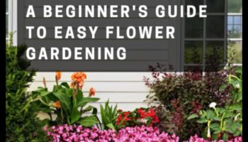 Blossom Bounty: שליטה באמנות הטיפול הוליסטי בגינה