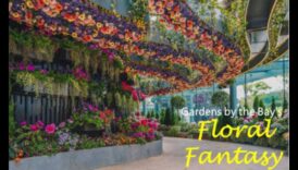 פנטזיה פרחונית: טיפים לגן מפוצץ מיופי