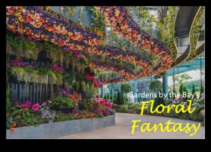 פנטזיה פרחונית: טיפים לגן מפוצץ מיופי