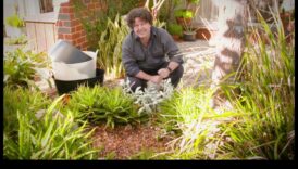 אבני חן בגינה: פתיחת סודות הגננות