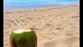 הרפתקאות קוקוס עשה זאת בעצמך: יצירת מרקחות לחות ייחודיות ומלאות טעם