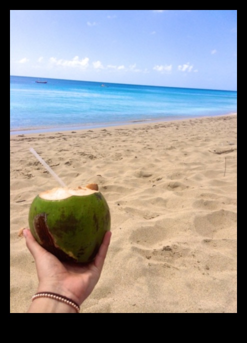 הרפתקאות קוקוס עשה זאת בעצמך: יצירת מרקחות לחות ייחודיות ומלאות טעם