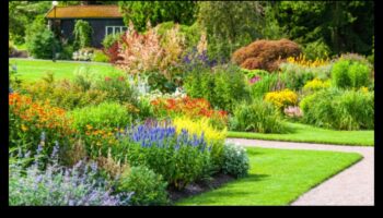 ירוק יותר ביחד: טיפוח גנים תוססים באמצעות זיווג