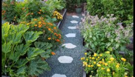 לזרוע ולקצור: מדריך לגנים נלווים פורחים