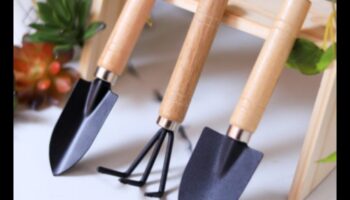 טיפוח שמחה: כלי גינה חיוניים לחובבים