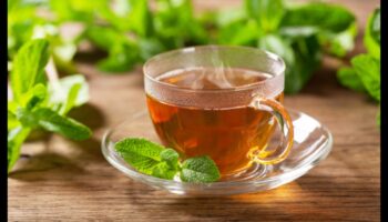 עשה זאת בעצמך Minty Magic: יצירת תערובות ייחודיות לאוהבי תה מנטה