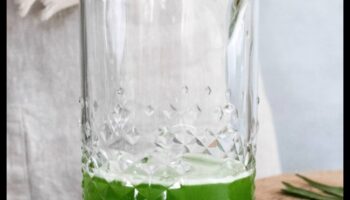 הרפתקאות אלוורה עשה זאת בעצמך: יצירת מרקחות לחות ייחודיות ומלאות טעם