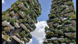 פיסול השמיים בלי גנים אנכיים, מבט עכשווי על ירק 5 פיסול השמיים: היופי שבגינון אנכי