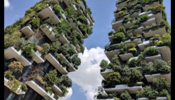 פיסול השמיים: היופי שבגינון אנכי