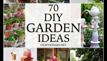 פריחה בתקציב: פרויקטי גן עשה זאת בעצמך שמסנוורים