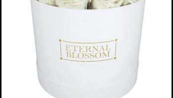 קופסאות פורחות: גינון מיכל לכל עונה