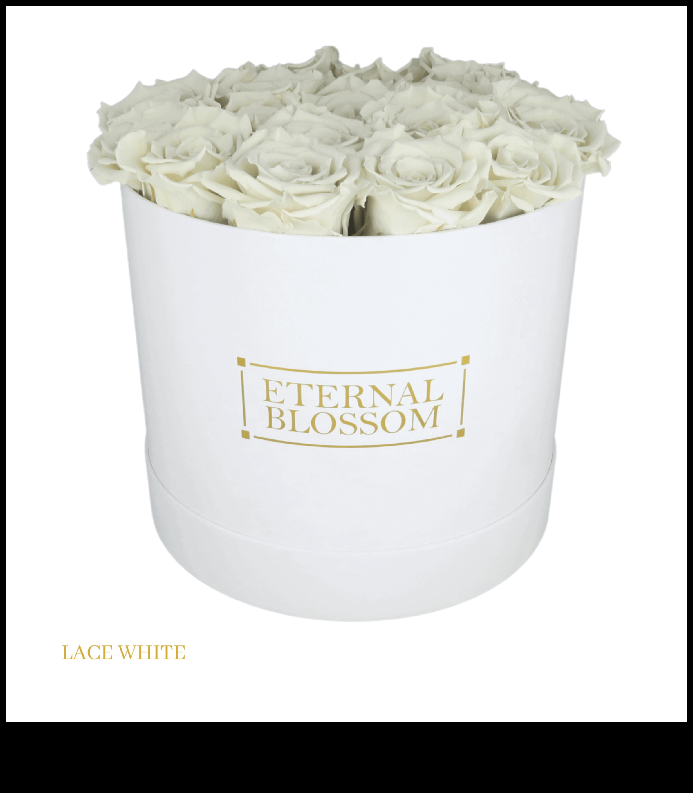 קופסאות פורחות: גינון מיכל לכל עונה